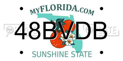 48BVDB Florida License Plate