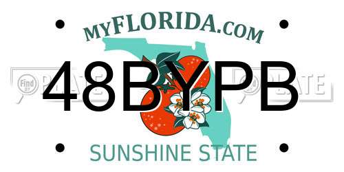 48BYPB Florida License Plate