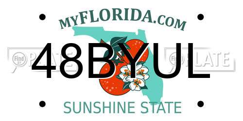 48BYUL Florida License Plate