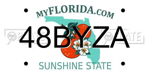 48BYZA Florida License Plate