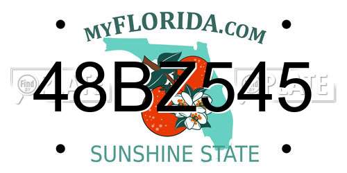 48BZ545 Florida License Plate