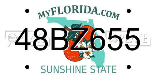 48BZ655 Florida License Plate
