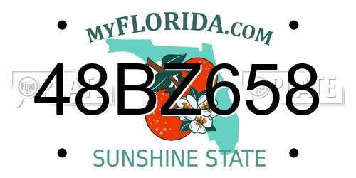 48BZ658 Florida License Plate