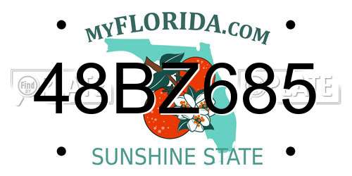 48BZ685 Florida License Plate