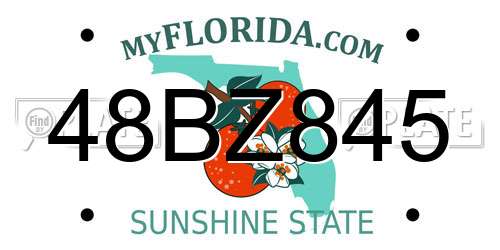 48BZ845 Florida License Plate