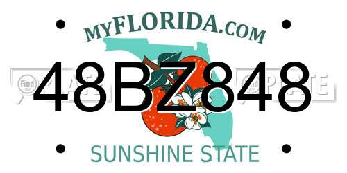 48BZ848 Florida License Plate