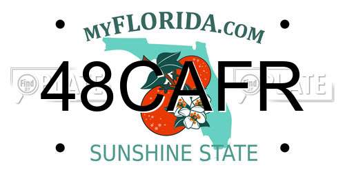 48CAFR Florida License Plate