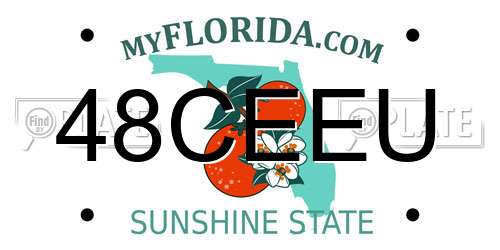 48CEEU Florida License Plate