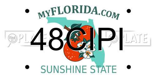 48CIPI Florida License Plate