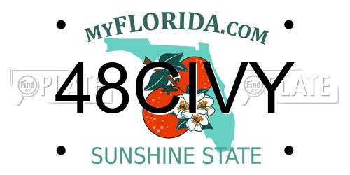 48CIVY Florida License Plate