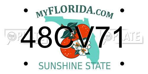 48CV71 Florida License Plate