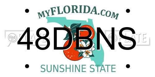 48DBNS Florida License Plate