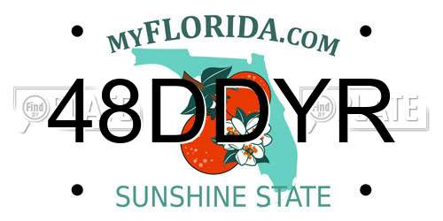 48DDYR Florida License Plate