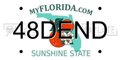 48DEND Florida License Plate