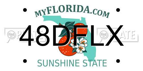 48DFLX Florida License Plate