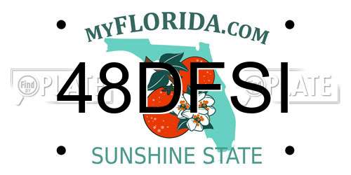 48DFSI Florida License Plate