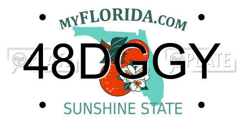 48DGGY Florida License Plate