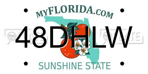 48DHLW Florida License Plate