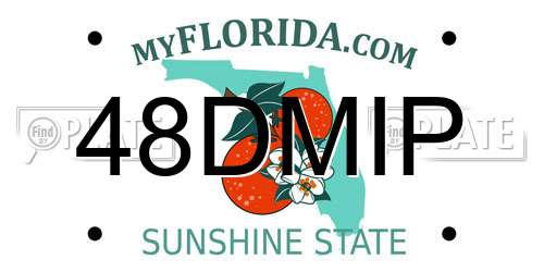 48DMIP Florida License Plate