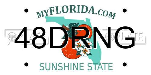 48DRNG Florida License Plate