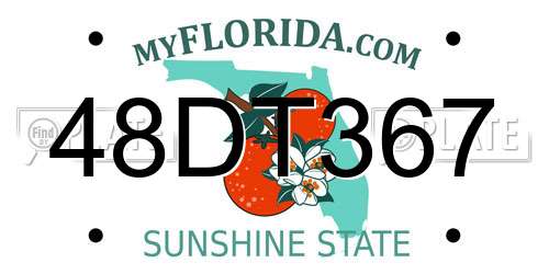 48DT367 Florida License Plate