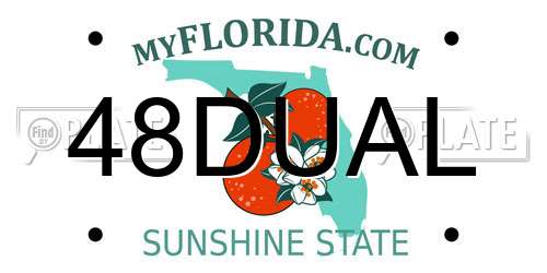 48DUAL Florida License Plate