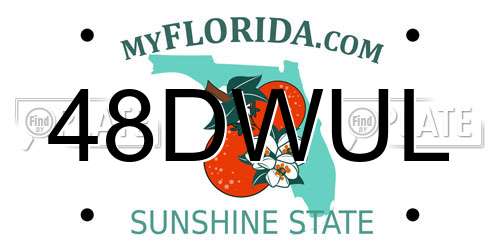 48DWUL Florida License Plate