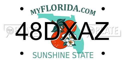 48DXAZ Florida License Plate
