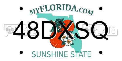 48DXSQ Florida License Plate