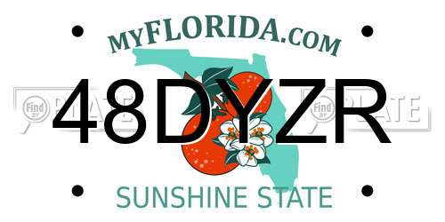 48DYZR Florida License Plate