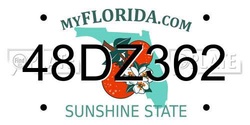 48DZ362 Florida License Plate