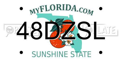 48DZSL Florida License Plate