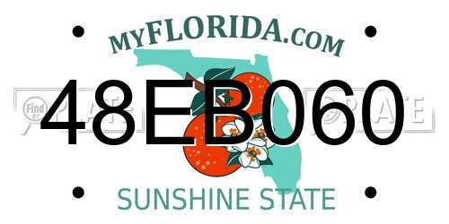 48EB060 Florida License Plate
