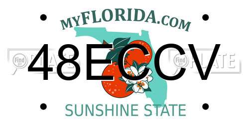 48ECCV Florida License Plate