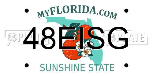48EISG Florida License Plate