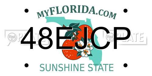 48EJCP Florida License Plate