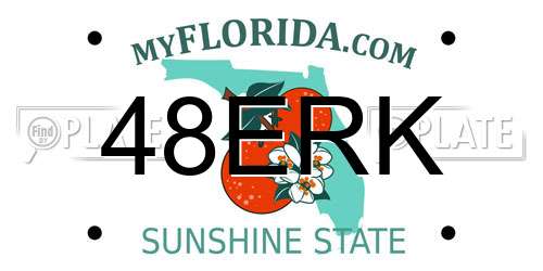 48ERK Florida License Plate