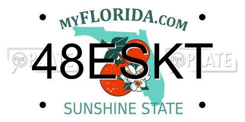 48ESKT Florida License Plate