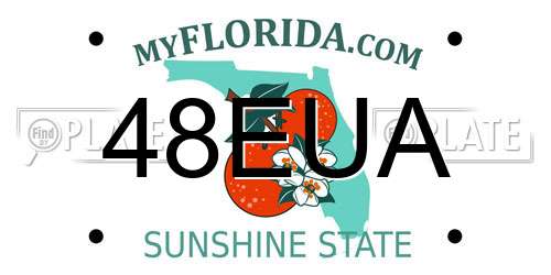 48EUA Florida License Plate