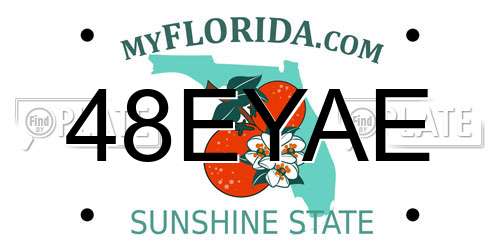 48EYAE Florida License Plate