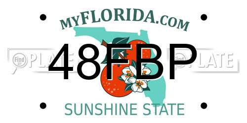 48FBP Florida License Plate