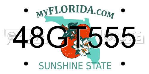 48GT555 Florida License Plate