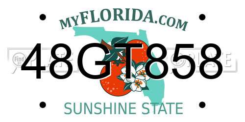 48GT858 Florida License Plate