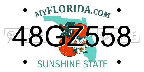 48GZ558 Florida License Plate