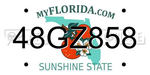 48GZ858 Florida License Plate