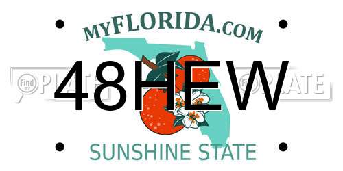 48HEW Florida License Plate