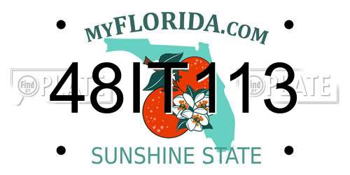 48IT113 Florida License Plate