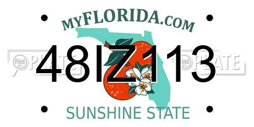 48IZ113 Florida License Plate