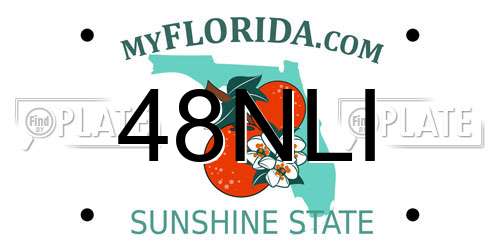 48NLI Florida License Plate
