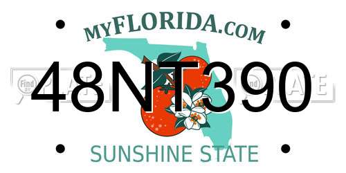 48NT390 Florida License Plate